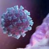 oms-convoca-reuniao-sobre-nova-variante-do-coronavirus