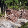 madeira-ilegal-apreendida-pela-prf-este-ano-supera-em-95%-a-de-2019
