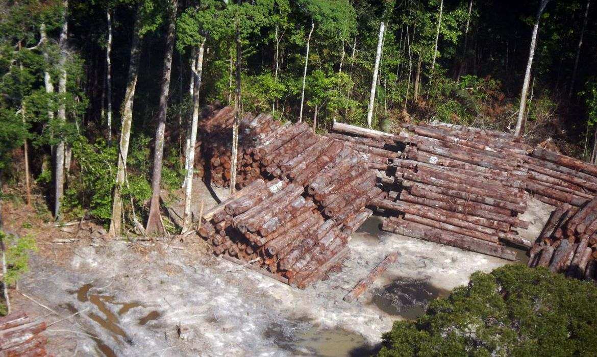 madeira-ilegal-apreendida-pela-prf-este-ano-supera-em-95%-a-de-2019