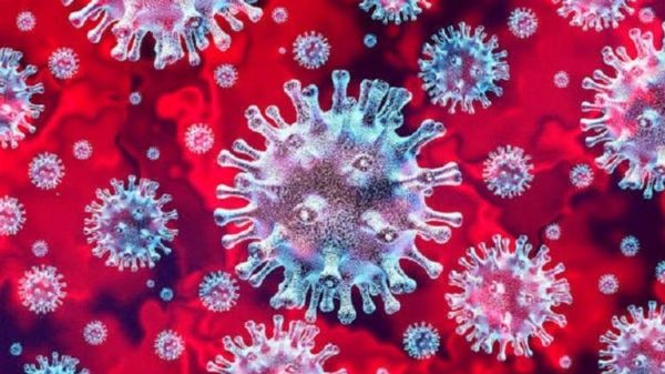 pesquisadores-desenvolvem-tecido-que-neutraliza-novo-coronavirus