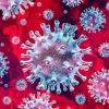 sp-projeta-26-mil-mortes-pelo-novo-coronavirus-ate-o-fim-de-julho