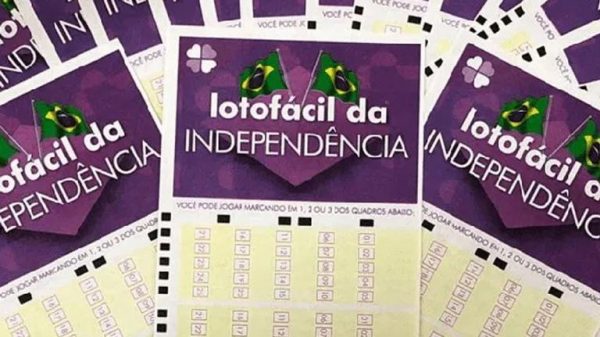 lotofacil-da-independencia:-premio-sai-para-50-apostadores