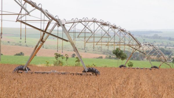 balanca-comercial-do-agronegocio-soma-us$-100,81-bilhoes-em-2020