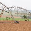 governo-afirma-que-soja-brasileira-nao-“exporta-desmatamento”