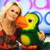Ana Maria Braga está buscando um substituto para o Louro José (Foto: Reprodução/TV Globo)