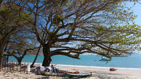 Praias são um dos destinos preferidos dos paulistas para o Carnaval de 2022 (Reprodução)