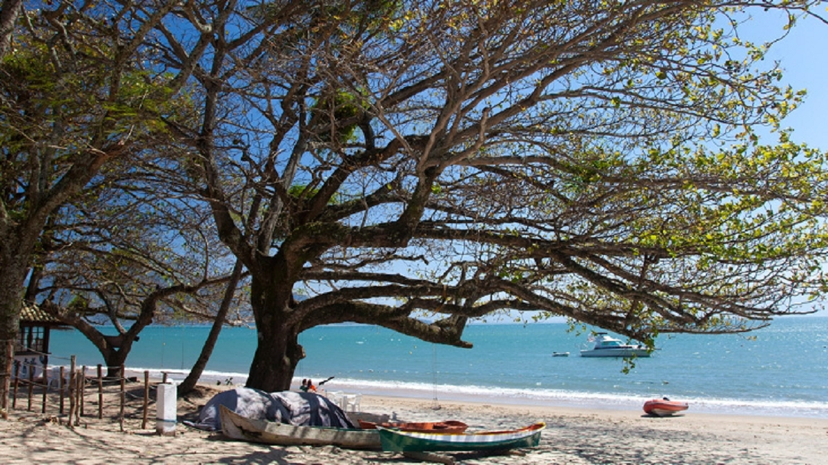 Praias são um dos destinos preferidos dos paulistas para o Carnaval de 2022 (Reprodução)