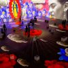 Exposição interativa em Salvador mostra vida e obra de Frida Kahlo (Divulgação)