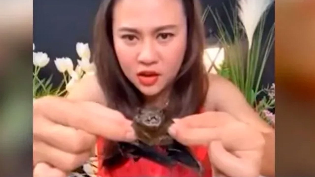 Phonchanok Srisunaklua publicou vídeo chocante onde come morcego (Reprodução)