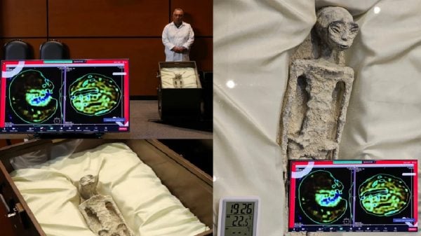Grupo de cientistas conduziu testes no suposto espécime "alienígena" apresentado ao congresso do país na semana passada (Foto: Reprodução/Internet)
