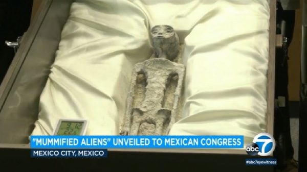 Cientistas apresentam aliens mumificados no Congresso do México (Reprodução/ABC TV)