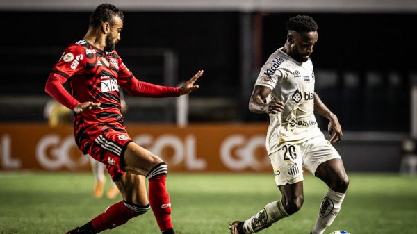 Flamengo x Santos em ação no Brasileirão