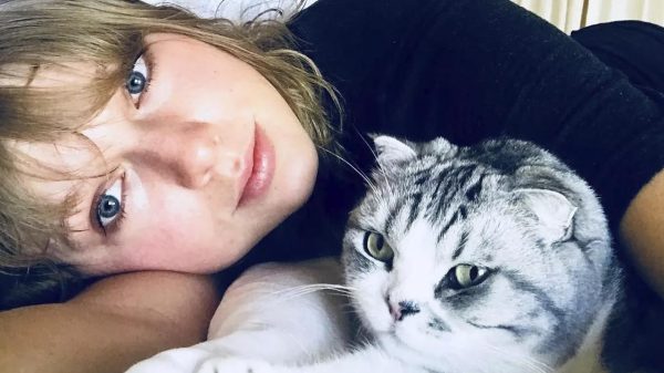 Taylor com sua gata Olivia Benson: pet milionário e parceiro de trabalhos