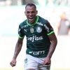 Brasileirão: Palmeiras está muito perto de ser campeão