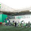 Brasileirão: Palmeiras deve ser o campeão