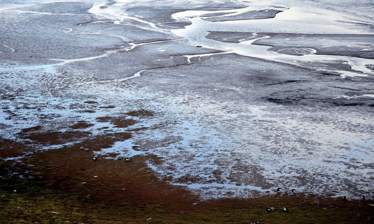 Permafrost da Sibéria pode conter perigos inimagináveis à vida humana