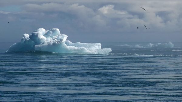 Nível dos oceanos aumentou mais rápido no último ano de acordo com a NASA